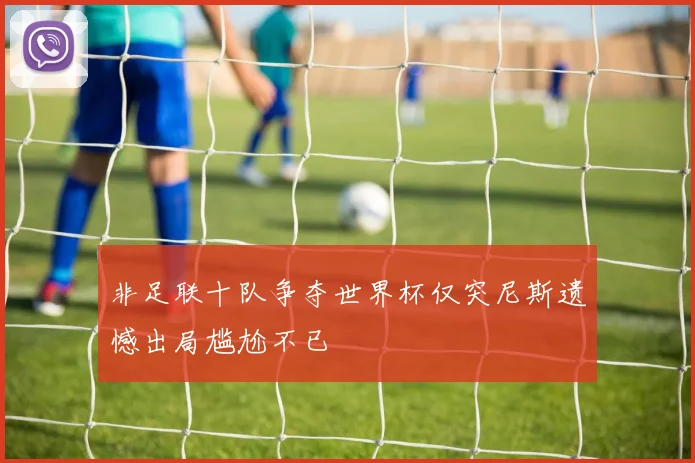 非足联十队争夺世界杯仅突尼斯遗憾出局尴尬不已